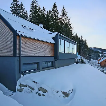 Die Almloft By Schladming Chalet *
